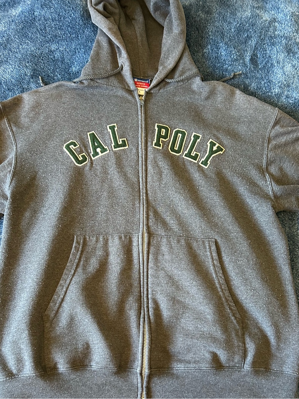 Champion Gray Full-Zip Hoodie with Green Lettering